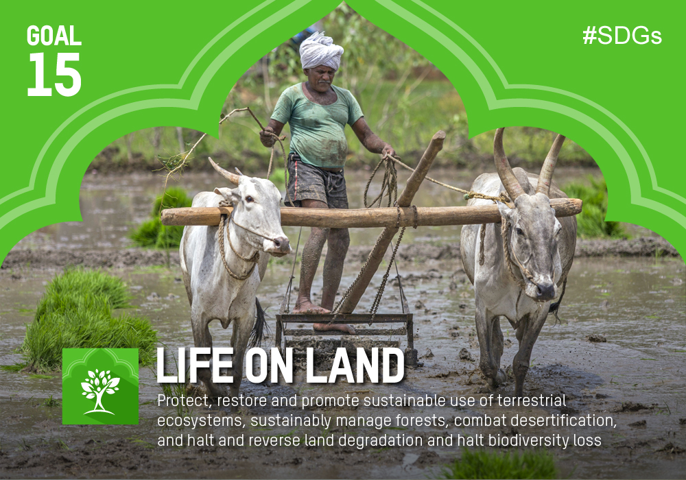 goal-15-life-on-land-green-governance-initiative